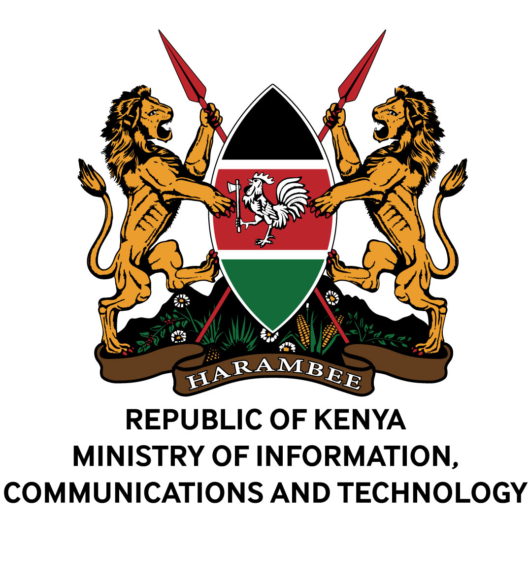 Ministry of ICT & ICT Authority